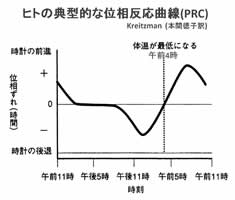 ヒトの典型的な位相反応曲線(PRC)